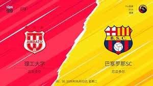 意甲运营压力与国米骄傲:马洛塔谈球队未来